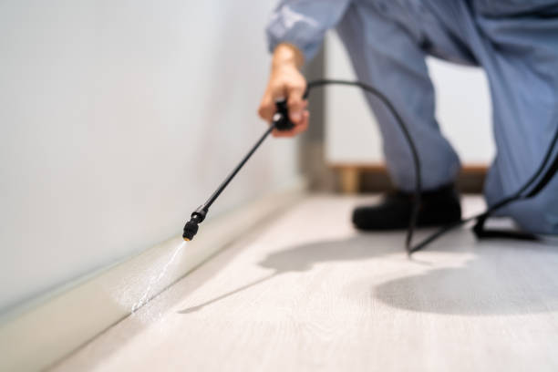 Licensed Mosquito Control service in McGregor, TX - Show Me Pest Control