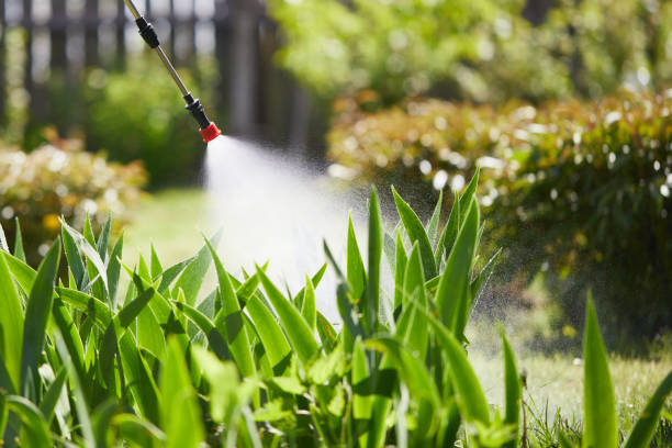 24/7 Emergency Mosquito Control experts in McGregor, TX