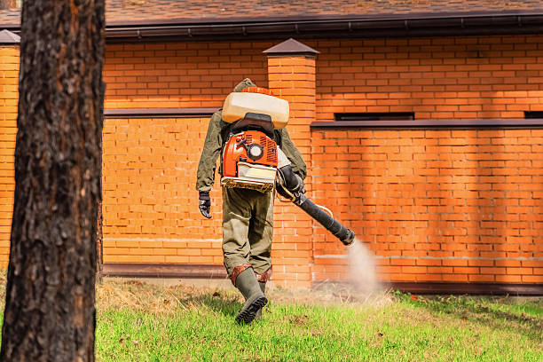 Top rated local Mosquito Control specialists in McGregor, TX